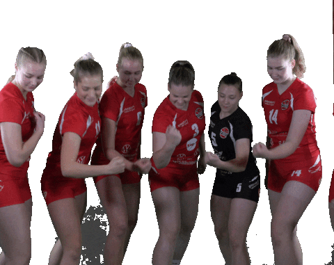 Sport Volleyball Sticker by LP Viesti