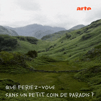 paradise GIF by ARTEfr