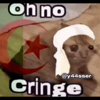 Cat Algeria GIF