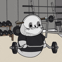 Work Out Fun GIF by Sappy Seals Community