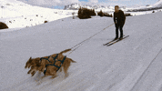 amazing race GIF by CTV