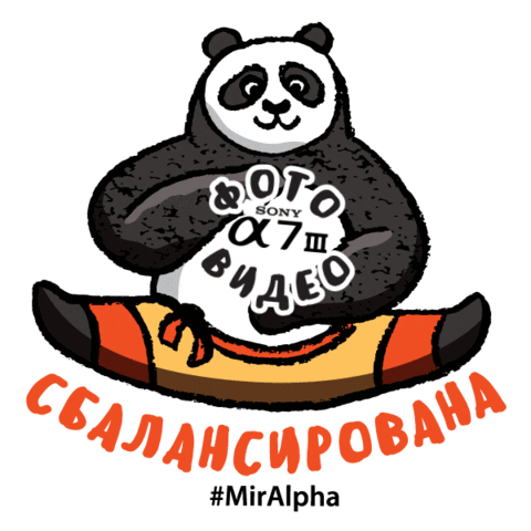 A9 Фотограф Sticker by Sony Россия