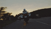 Ride GIF by Harley-Davidson