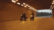 Ride GIF by Harley-Davidson