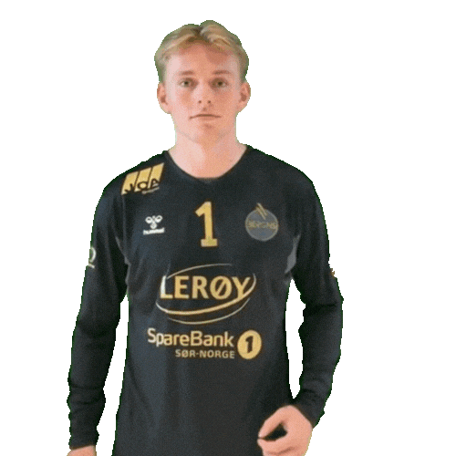 Bergen Rema1000Ligaen Sticker by Norsk Topphåndball