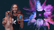 Anne Wordpress GIF by Kanopi Studios