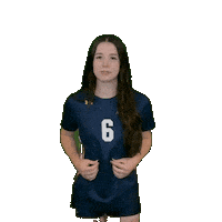 Womens Volleyball Sticker by Clarke University