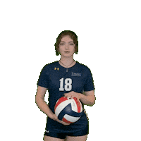 Womens Volleyball Sticker by Clarke University