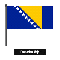 Bosnia And Herzegovina Flag Sticker by Formación Ninja