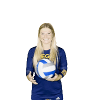 RegisVolleyball volleyball bre skala regis Sticker