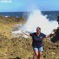 Curacao GIF by Magic of the Caribbean