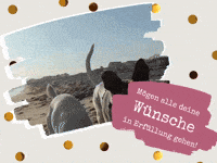 wufflecker wufflecker wuffleckerbirthday wuffleckerglückwunsch GIF
