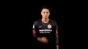 portland thorns baonpdx GIF by Thorns FC