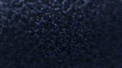 Marketing GIF