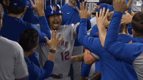 Home Run Celebration GIF by New York Mets