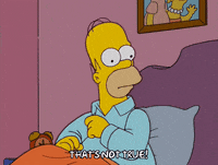 homer simpson GIF