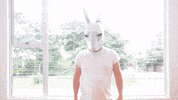 Dance Dancing GIF by jorgemariozuleta
