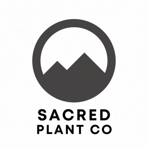 SacredPlantCo giphyupload herb sacred plant co chamomile GIF
