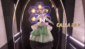 The Masked Singer GIF by Reality Club FOX