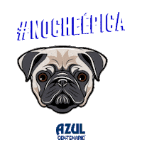 dog pug Sticker by Jose Cuervo