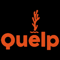 Quelp vegano algas cochayuyo quelp GIF