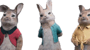 Fun No Sticker by Peter Rabbit Movie