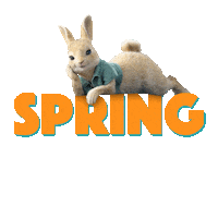 Mood Hello Sticker by Peter Rabbit Movie