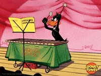 daffy duck wtf GIF by Looney Tunes