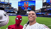 Spider-Man GIF