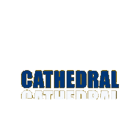 Go Irish Sticker by cathedralirish