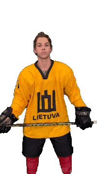 Hockeylietuva Sticker by ledoritulys.lt