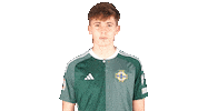 Soccer Celebration Sticker by Northern Ireland