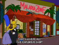 homer simpson GIF