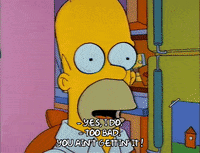 Season 2 GIF by The Simpsons