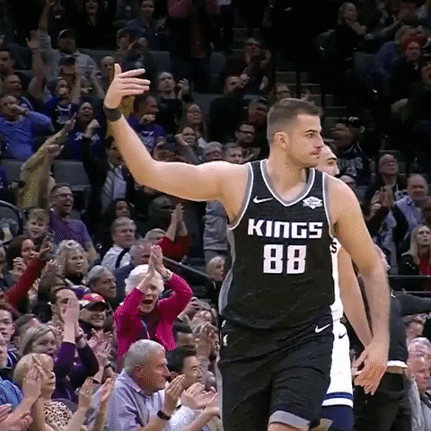 stand up hype GIF by Sacramento Kings