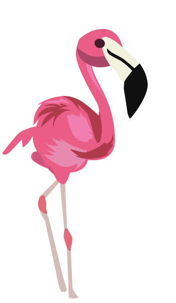 Pink Flamingo Sticker by Nassau Paradise Island, Bahamas