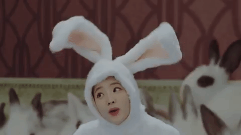 k-pop rabbit GIF