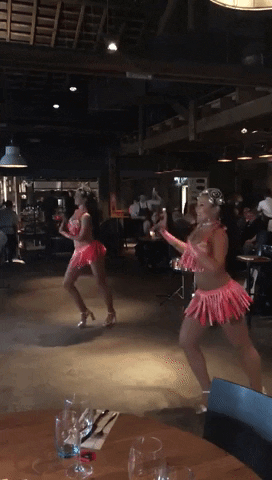 GIF by Claus Park Collection