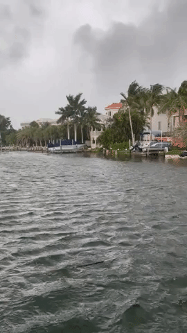 Gusty Winds Reach Sarasota as Idalia Gains Strength
