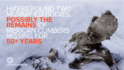 news mummies GIF by NowThis 