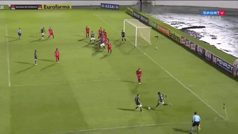 GIF by SE Palmeiras