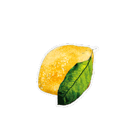 Cafe Sticker by ippacafeprague