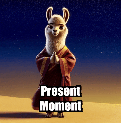 Dalaillama Character GIF by dalaillamazen