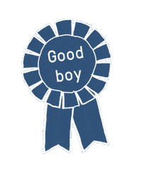 Dog Win Sticker by Butternut Box