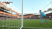 Goalkeeper Gk GIF by DAZN