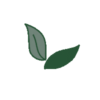Plant Based Leaves Sticker by The Zingy Studio