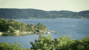 Midsummer GIF