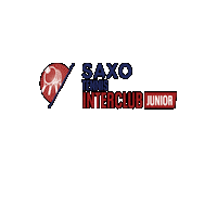 Tennis Interclub Sticker by Tennisenpadelvlaanderen