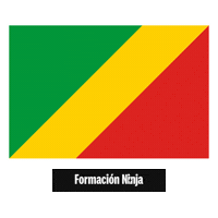 Republic Of The Congo Flag Sticker by Formación Ninja