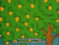 season 6 episode 25 GIF